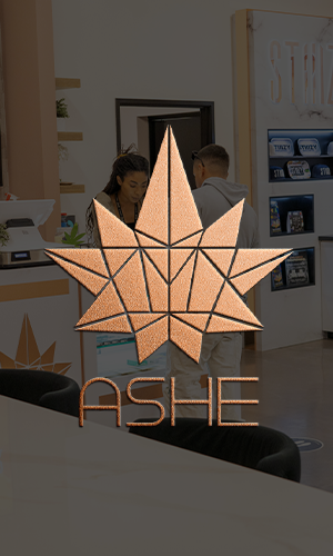 ASHE Society Logo