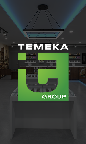 Temeka Group Case Study